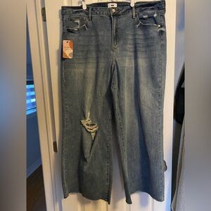 Women's Distressed L&M Jean size 22 plus